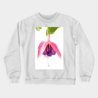 Fuchsia  'Taffeta Bow' Crewneck Sweatshirt